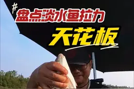 盘点淡水狂暴拉力天花板，土鲮、泰鲮、麦鲮、石鲮、红眼如何辨认 #2024dou来钓鱼  #钓鱼知识 #鲮鱼 #赤眼鳟 #艺术在抖音 
这几种鱼拉力狂暴手感炸裂，你钓到过吗？分得清吗？它们都是淡水鱼中的战斗机，除了淡水鲳、军鱼之外，绝对是拉力值的天花板！那就是鲮鱼和红眼。有图的兄弟赶紧发出来，让大家开开眼界！
鲮鱼不是一种鱼，而是鲤科（Cyprinidae）鲮属（Cirrhinus）下所有鱼类的总称。鲮鱼常见的主要有土鲮、泰鲮、麦鲮、石鲮，还有大眼鲮以及里巴鲮等七八种。尤其是红眼和鲮鱼长得很像，很多人分不清，今天咱们就盘一盘它们。视频封面