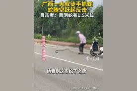 6月10日，广西崇左，一名大叔徒手去抓路边的蛇，遭到蛇腾空跃起反击，《今日关注》记者采访到目击者黄先生，他表示，目测此条蛇大概1.5米长，最终大叔没抓到这条蛇，也未受伤，蛇随后爬入草丛中。
