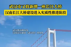 汉南长江大桥，武汉第13座长江大桥要来了！武汉都市圈环线汉南过江通道项目（武汉段）通过自然资源部会审，标志着项目建设迈入实质性推进阶段。#武汉长江大桥视频封面