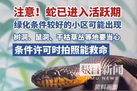 注意！蛇已进入活跃期，绿化条件较好的小区可能出现，树洞、鼠洞、干枯草丛等地要当心，条件许可时拍照能救命视频封面