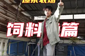 10000条小番茄究竟可以培养出多少九转蛊王？！