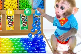 萌宠小猴子：挑战5种颜色的巧克力豆，小猴子的创意会受欢迎吗？