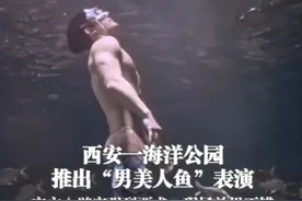 1月23日（采访），#西安一海洋公园推出“男美人鱼”表演 ，官方：游客强烈要求，现场效果不错（上游新闻记者 赵映骥）视频封面