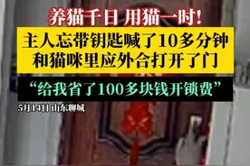 养猫千日，用猫一时！出门太急忘带钥匙，#主人和猫咪里应外合开门成功 ，主人：给我省了100多块钱开锁费，太激动了~