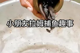 小朋友拉姆捕鱼趣事 #户外捕鱼 #抓鱼视频封面