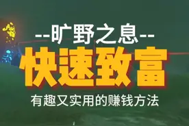 【旷野之息】超级好用又高效的赚钱方法合集！ #塞尔达传说视频封面