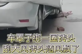 长毛黄：没事！ @长毛黄 #万物皆可种草搜  #搞笑视频 #搞笑配音 #北京大风视频封面