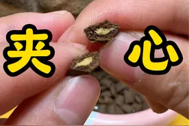 猫爸爸的厨房泡芙猫粮，一款震惊到我的粮！ #猫粮 #流浪猫救助视频封面