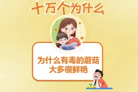 为什么有毒的蘑菇大多很鲜艳 孩子有没有问过你视频封面