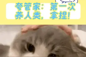 第一次养人类，拿捏！#漫展 #ai #大学生生存指南视频封面