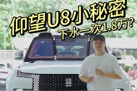 下水一次1.8万？仰望U8这些小秘密，很多车主都不全知道！#大玩具 #仰望u8 #带你懂车 #汽车知识分享视频封面