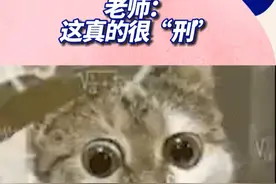 老师，你这教的有点太全面了！！！视频封面