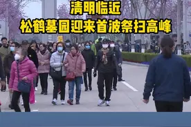 清明临近，松鹤墓园迎来首波祭扫高峰。#交通出行 #清明视频封面