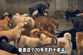 养2000只猫狗是什么体验 #万物可爱计划 #关爱流浪动物 #每个生命都值得被善待 #流浪狗不再流浪 #我和流浪猫的故事