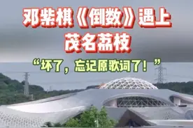 “枝上荔枝都熟着，我们盛夏的快乐”……当邓紫棋《倒数》遇上美味荔枝，你还能记得原歌咋唱吗？#邓紫棋 #倒数 #茂名的荔枝