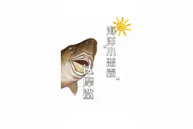 达摩鲨，鱼小胆大，敢咬坏美国核潜艇，还给美军造成了巨大损失。#全程高能 #知识科普 #科普 #达摩鲨 #雪茄达摩鲨 #科普海洋 #长沙海底世界 #神奇动物在抖音 