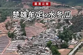 楚雄牟定首个“中国诗歌村”，彝族左脚舞的发源地之一，水冬瓜。 #最美云南 #旅行推荐官 #牟定县 #左脚舞