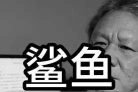 所以就算想秉持正义，坚持良心，也都害怕被喂鲨鱼视频封面