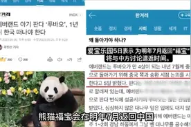 韩国饲养员爷爷和中国大熊猫的故事：23、福宝将要离开爷爷视频封面