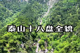泰山十八盘，这就是你走过的十八盘全貌。 对松亭海拔高度1130米，经龙门、昇仙坊到达南天门，南天门海拔1420米。#泰山 #旅行推荐官