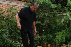 老师傅展示清明上河图木拱桥架构，华夏智慧 #木拱桥 #非遗传承