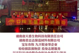  暖心！多家爱心企业为我市捐赠抗疫物资#湖南邵阳  #湖南之声 #邵阳疫情 视频封面