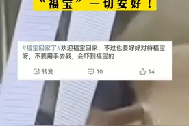 #“福宝”疑似被戳引发中韩网友质疑和不满 ，最新回应：必要检查，“福宝”一切安好！视频封面
