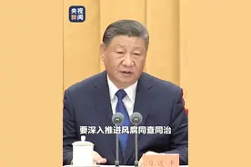 习近平总书记指出：要深入推进风腐同查同治。始终坚持零容忍，把中央八项规定作为铁规矩、硬杠杠。（央视新闻）