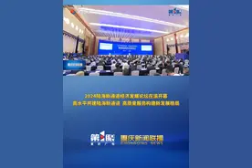 重庆新闻联播 | 2024陆海新通道经济发展论坛在渝开幕 高水平共建陆海新通道 高质量服务构建新发展格局视频封面