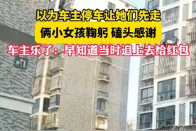 #两个小女孩鞠躬磕头感谢车主停车让行 ，车主乐了：早知道当时追上去给红包。