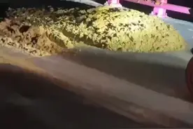 11月11日，贵州贵阳，网传贵州市花溪区骑龙坡，多辆摩托车遇粪便堵路。有网友表示，每天无数摩托车在那里表演压弯、烧胎、翘头炸街，附近村民受不了用大粪封路。摩托车友杨先生表示事发地为弯道盲区，路过时提前看不到粪堆，当时直接就撞上去了，现场多车撞上粪堆，车和衣服等装备出现味道洗都洗不掉。12日，黔陶乡政府工作人员回应称，粪便非人为故意，派出所也去了解了情况，是农用三轮车拉粪种植香葱，转弯时不小心撒出，已排值班组进行清理。视频封面