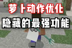 超强隐藏细节在这里？让我教你如何设置！ #我的世界 #烦人的村民 #动作优化