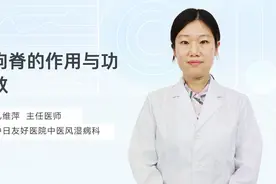 狗脊的作用与功效#传承中医文化 #中草药 #中医药文化 #中医视频封面