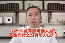 为什么蓝筹股跑输大盘？基金为什么没有动力拉升？ #a股 #大盘视频封面
