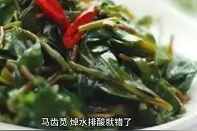 马齿苋，焯水排酸就错了，大厨教你一招，美味可口，吃一次忘不掉