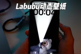 你们要的Labubu动态壁纸教程来啦#iPhone #动态壁纸 #实况壁纸