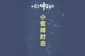 十万个梗百科：小蜜蜂肘击 #小蜜蜂肘击 #抽象 #沙雕