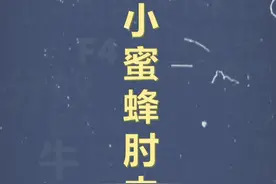 十万个梗百科：小蜜蜂肘击 #小蜜蜂肘击 #抽象 #沙雕
