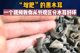 “增肥”的黑木耳。一个视频教你从外观区分木耳好坏#木耳  #食品安全  #消费者权益视频封面
