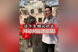 这个神兽你见过吗 #神兽 #神话传说 #历史故事