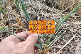 北方高温干旱，南方暴雨不断，究竟是啥原因 #干旱 #极端天气视频封面