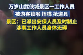 为哄抢道具，河南万岁山武侠城一工作人员被游客锁喉、捂嘴，景区回应：安保及时制止，工作人员身体情况很好。