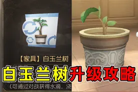 免费家具白玉兰树升级攻略#第五人格视频封面