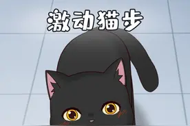 有爱的步伐，走起来就是别具一格 #猫咪 #黑猫 #流浪猫 #顺拐