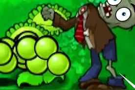 我不希望我的植物大战僵尸被人捡起来可以直接玩 游戏