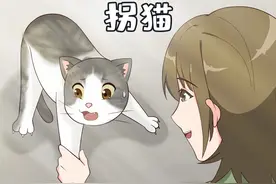 我捡一只猫回家，竟大有来头！ #猫咪 #流浪猫 #原创动画视频封面