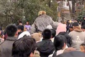 河南开封万岁山巨人演员走红，步履蹒跚需要用棍子支撑走路，一天工作5场每场20分钟，“请温柔以待这位表演艺术家”#河南开封视频封面