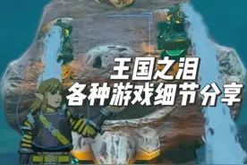 【塞尔达】分享王国之泪中，那些你仍不曾留意到的10个小细节视频封面