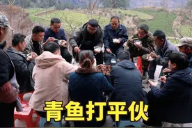 婚房第一层完工，冬宝搞一锅青鱼炖豆腐，叫上师傅打平伙，真热闹视频封面