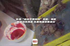 卧底“杨铭宇黄焖鸡”后厨：隔夜剩菜回收再卖 色素掩盖变黑食材视频封面
